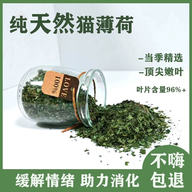 Catnip is high-purity, extra-concentrated, all-natural, fresh, and edible. It helps eliminate hairballs and is a self-entertaining cat grass for pets Catnip is high-purity, extra-concentrated, all-natural, fresh, and edible. It helps eliminate hairballs and is a self-entertaining cat grass for pets