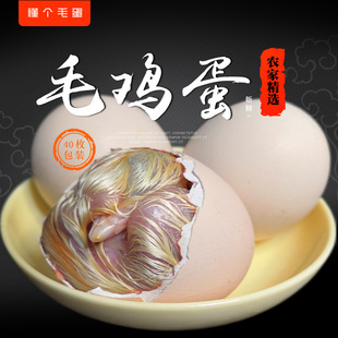 40öë�u����������18��21��ȫ�u���u�뵰�������r�u�ߵ�ϲ��ë��