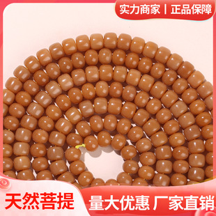 �S�����l�����L��������ߒ��������������ִ����108�w��������
