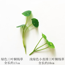 ����3ͷͭǮ��ͭǮҶ��Ǯ�����˲���Ҷ��������ɫ�ڼ�����С��Ҷ