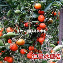 �޽ӟo�ѽ��ӹ��������Ә���t�Ǳ���������ӹ�������箔��Y��