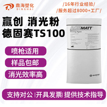赢创德固赛二氧化硅消光粉TS100 水性气相法哑光剂超细消光粉喷枪