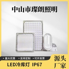 クロスボーダーLED冷凍庫ランプ防水防湿三防ランプ防爆ランプIP67IP66足瓦幅圧110V低圧