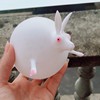 Foreign trade explosion TPR blowing animal wave ball TPR animal patched ball bubble ball soft glue inflatable ball toys