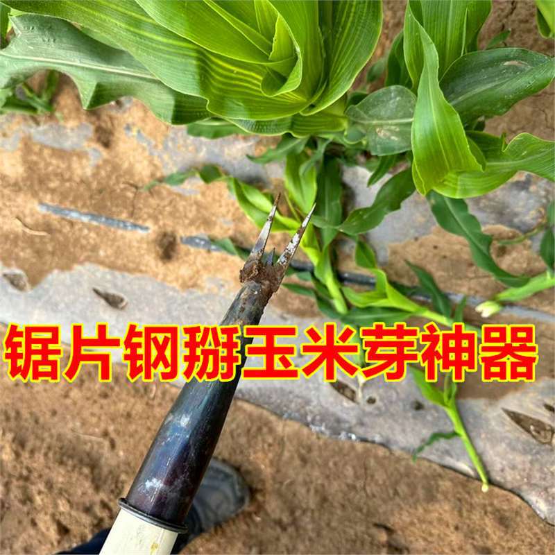 掰玉米丫子神器免弯腰农用玉米苗打叉专用工具去除苞米芽子根叉锄