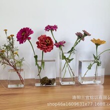 ������͸����ƿ�B�~�B���͏d�k�����[���p�ݸ߼���Ͳ�zճ��©�A��