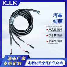 厂家生产光伏太阳能储能线束工业自动化线束汽车线束抗干扰防弯折