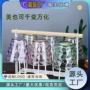 家用炫彩商务会议水杯