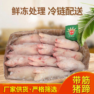 �S�ҹ����i���i���iצ����i����i����طָ����i�⎧���i��F؛