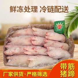 厂家供应猪蹄猪手猪爪冷藏猪蹄冻猪肉冷藏分割生猪肉带筋猪蹄现货