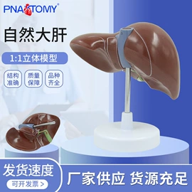 医药教学器材;教学演示用品;生物教学器材