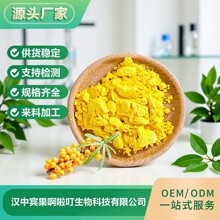 沙棘果粉 厂家供应 沙棘果喷雾干燥 固体饮料 量大批发 沙棘果粉