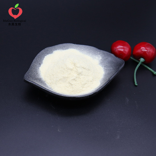 Camel First Milk Powder 99% - Woodland Biotech Camel Milk Powder Camel First Milk Freeze-dried Powder Food Grade