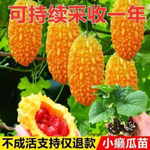 ه�����������ӹ����������̨���԰]�ϴ����ļ�����ه������