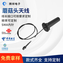 Ģ���^�쾀���l�ʃ��|�����~о���|�쾀���Sֱ�N����̖�����쾀