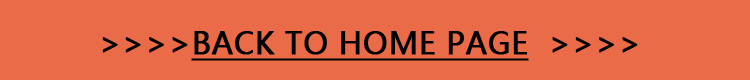 back to homepage.jpg
