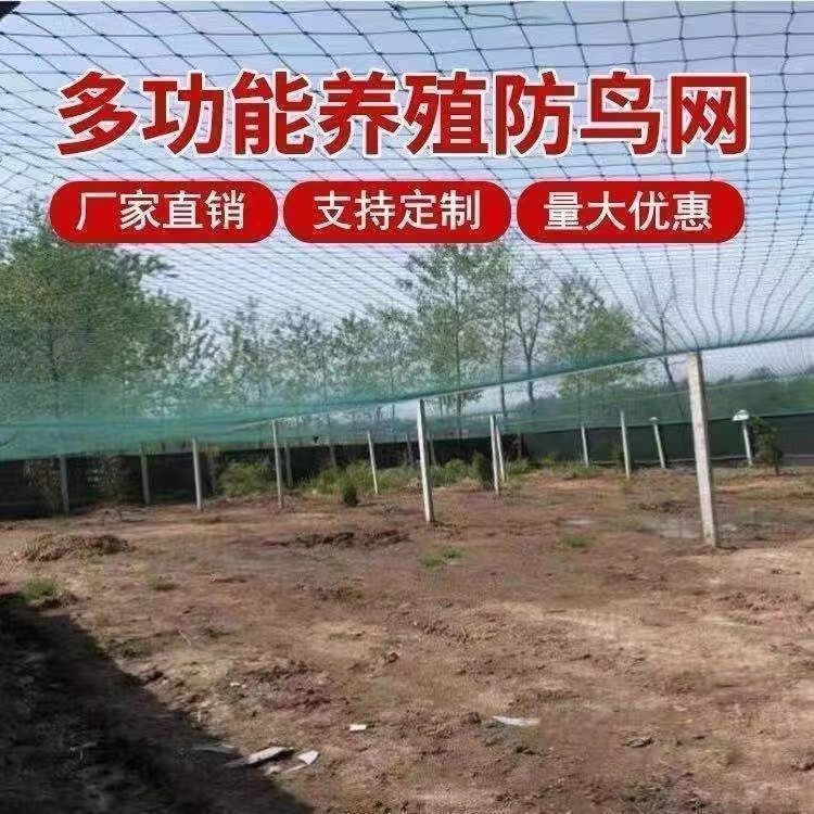 渔网养殖网围网养鸡网护栏网尼龙网网箱拉网果园防鸟网爬藤网渔网
