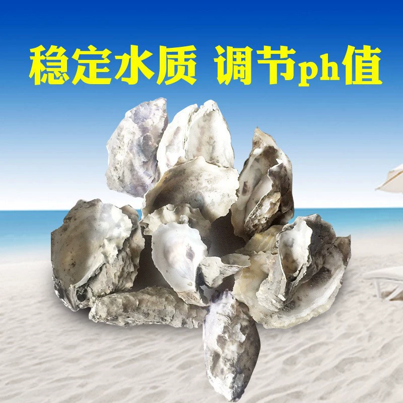 Материал фильтра для пруда с рыбой, оболочка устрицы, оболочка устрицы, пруд кои, специальный фильтрующий материал, оболочка устрицы, стабильный пруд с рыбой, значение PH