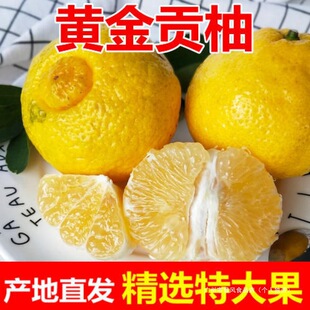 �ѻ��齭�S��ؕ�ִ��������ɽ�����r���ֺ���ѩ��ɽ������]����