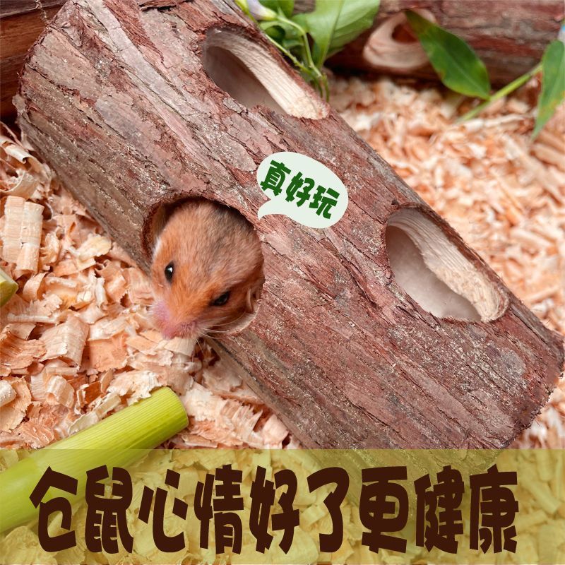 2fa15ef2-a3ce-4414-ac64-1ee011ca935e.jpe