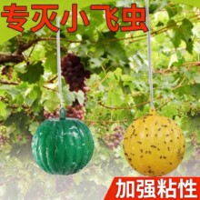 �T��ω�T����ȥ�҃�С�w�x�皢���ǏN��ˮ���������ճ�nω�����
