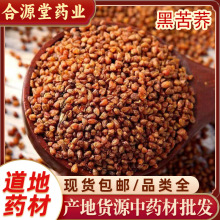 黑苦荞中药材  五谷杂粮苦荞麦 金荞麦茶苦荞麦 黑苦荞代打粉批发