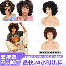 ���˷�ŷ��С������Curly�ٷ���������ը���ɿ�ٷ����ӹ����ơ�