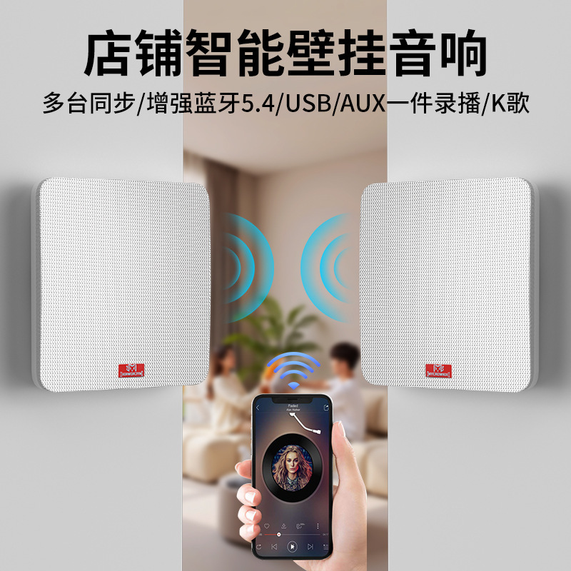 Wall-Mounted Wireless Bluetooth Speaker Wall-Mounted Ceiling Classroom Restaurant Gym Conference Room Player Bluetooth Speaker