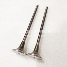 C������C�����ſ���˹4999807/14TOOTH