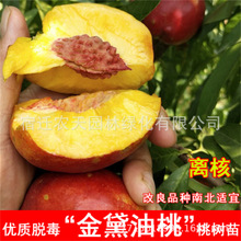 �ɽˮ���Ҙ���޽����S����䮔��Y���Ϸ������Nֲ������ӹ���