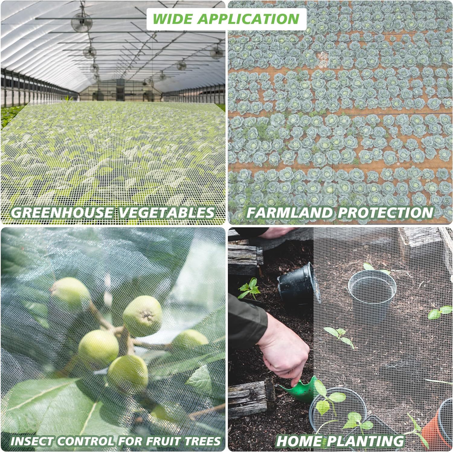 DM_20240617165707_005