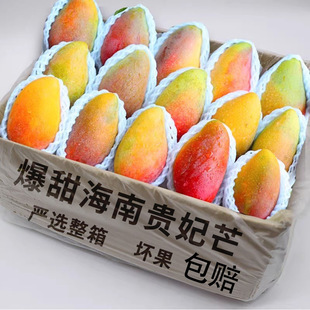 �����F��â���râ��9�ﮔ��ˮ���������t����������â������]