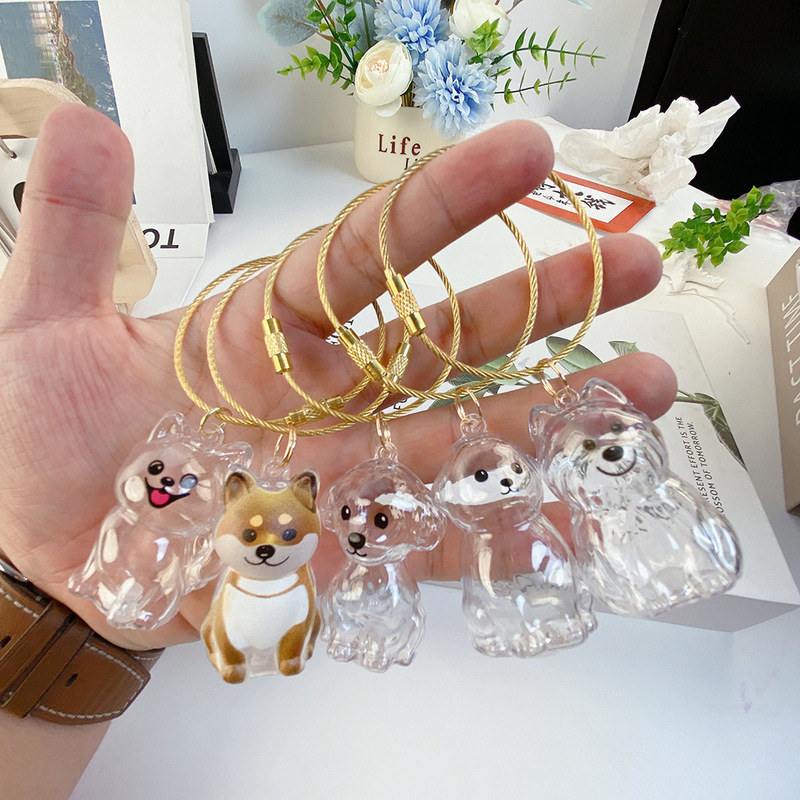 Cross-Border Foreign Trade Transparent Schnauzer Husky Dog Hair Storage Box Capsule Pendant Decoration Commemorative Keychain Cross-Border Foreign Trade Transparent Schnauzer Husky Dog Hair Storage Box Capsule Pendant Decoration Commemorative Keychain