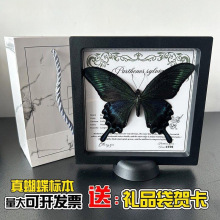 �aȻ������˱��Ҹ����b�Ҿ��b[����չ�ᄓ�����նY����ս̌W
