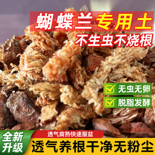 Mixed Wet Material Chilean Caterpillar Sphagnum Moss Selected Granular Bark Dry Moss Phalaenopsis Special Nutritional Substrate