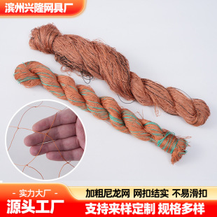 �Ӵ�݆̥�������Bֳ���o�W���ھW���B�W���W�r�u�W���@���o�����W