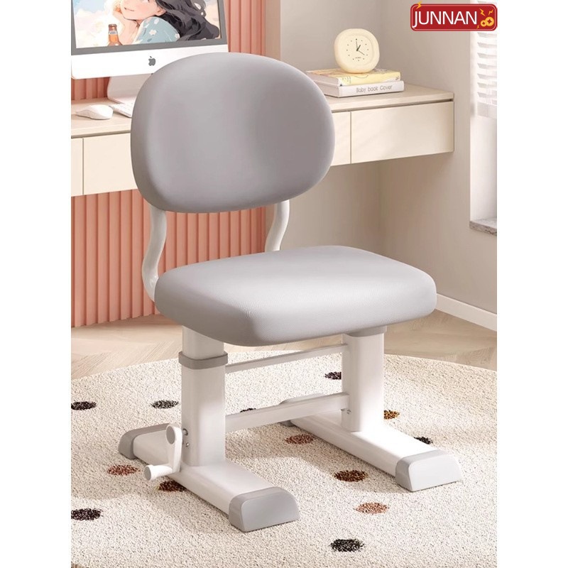 Adjustable Study Chair for Students, Children's Seat for Primary School Students, Writing Chair, Desk Chair with Backrest and Stool