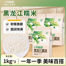 十月稻田 糯米1kg粽子米黏米五谷杂粮端午食材白糯米东北500g