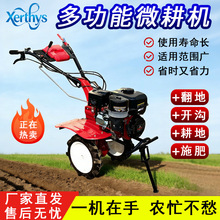 ���������CС�͸���ˮ�ﺵ���_����@�r��΢���C�����C���ؙC����