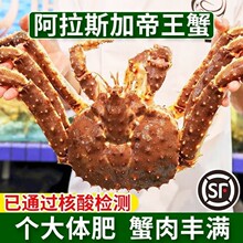 ��������˹�ӵ���з4-10�ﺣ�r�r��tз�{���r��S���]�Ϻ�Ұ��