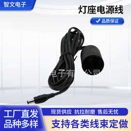 DC头5.5*2.1光伏太阳能灯线 灯座电源线连接线 灯座线USB线延长线