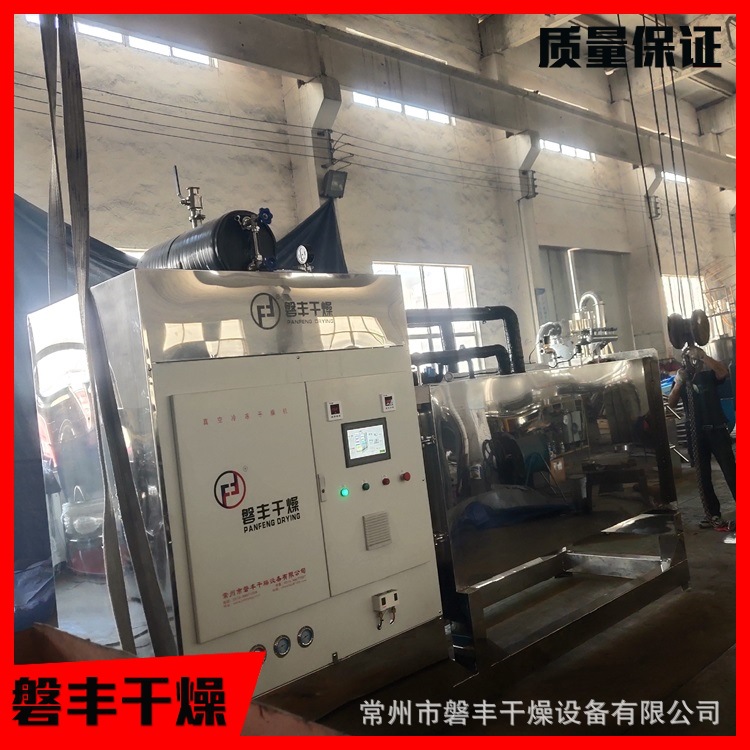 水果片低温脱水冻干设备 果蔬真空冷冻干燥机 宠物食品冻干机