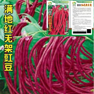 oܶǷNӼtɫҼܶѲNѴ̨@