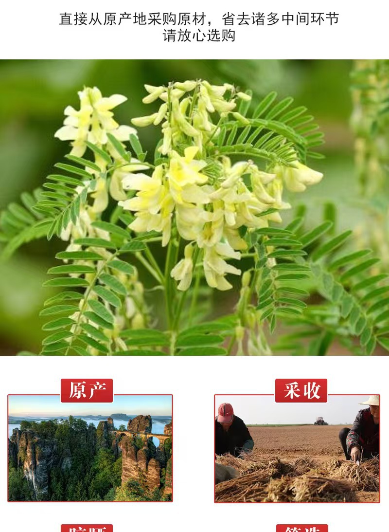 Astragalus Root Slices Huang Qi 黄芪 Premium Large Cut 125g Gift Box Tonic Wellness Herb specifications