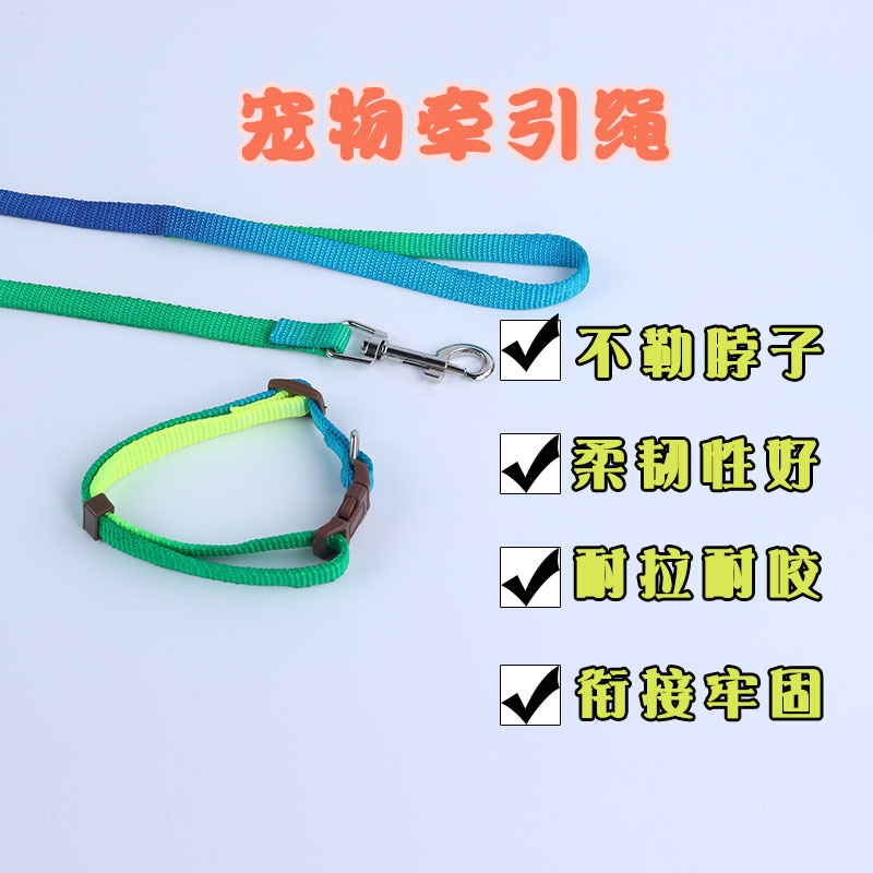 En stock cuerda de tracción de cuerda plana colorida perros medianos y grandes suministros para mascotas cuerda de perro Cadena de perro correa de pecho de peluche al por mayor