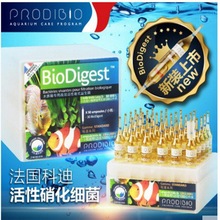 进口BioDigest法国科迪鱼缸用活菌硝化细菌 净水淡海水过滤消化菌