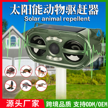 羳Ʒs ̫B򌹷ledW