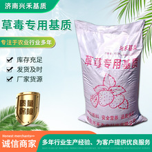 ��ݮ���û��|��̿Ó�}Ҭ������䷽�ЙC�|�I�B����ݮ����������|