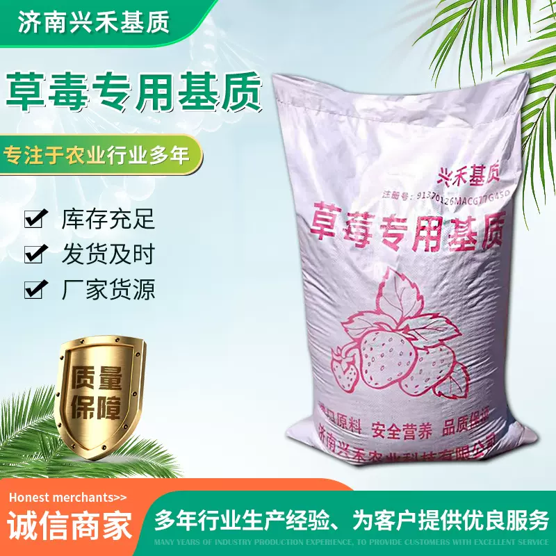 鲁兴禾草莓育苗栽培专用基质进口泥炭脱盐椰糠种植土草莓基质