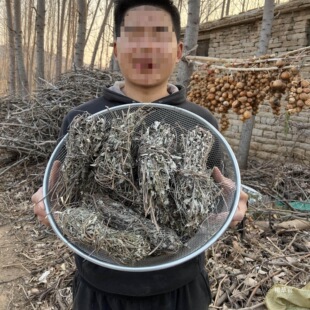 ���Ұ���S�G�l�S�G�Ӳ��G�G�l�G�V֦�~�S�G֦�~������؛��؛